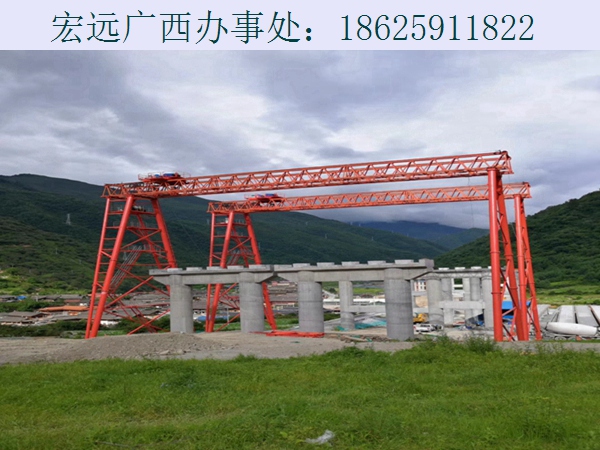 柳州100吨龙门吊